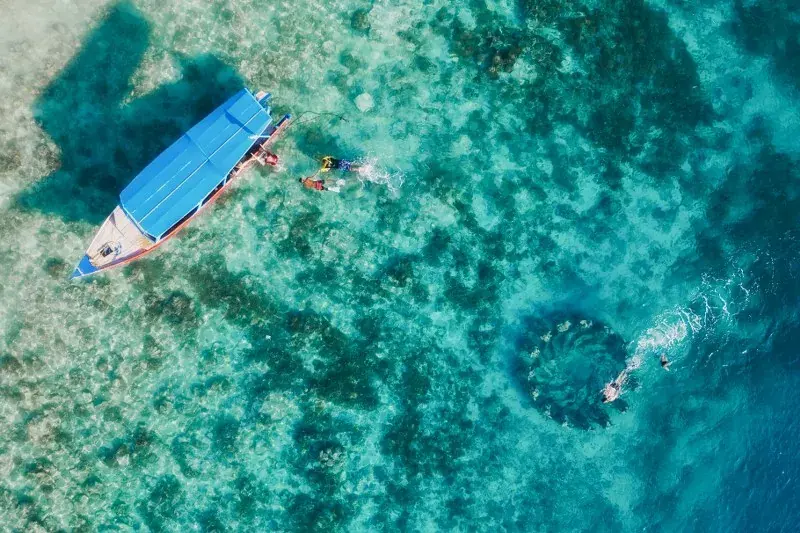 Snorkellers beside a boat over clear water