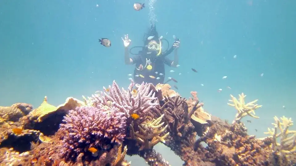 A diver over coral in clear blue water